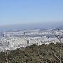 관악산 2026-01-25