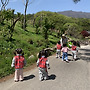 백산 4세