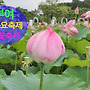 &clubs;~7월4일 (토요일당일..
