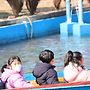 광주 패밀리랜드