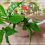 토마토 갈아 넣고 만든..