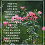 사랑의 정년