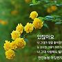 있잖아요 !