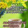 동뮨 여러분..편안하고 즐..