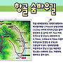 정선 항골 숨바우길......