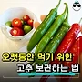 고추 오래 먹을 수 있..