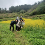 제147차 청산도슬로길 3