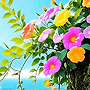&#65279;"남자의 생애 일곱 ..