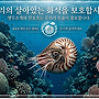 심해의 보석, 앵무조개..