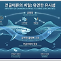 가오리, 상어랑 조상이..