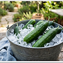 🥒오이 탕..