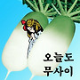 오늘도 무사히~