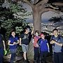야간산행 사진 26.06.2..