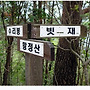 5월11 일 단양 황정산..