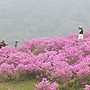 화순큰재