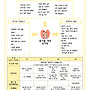 2025년 5월 만3세 놀..