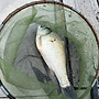 밤마실,,!