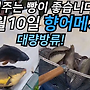 ▥▥ 이번주는 빵이 ..