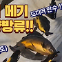 ▥▥ [실시간]드디어 ..