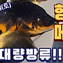 ▥▥ [실시간] 드디어..