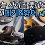 ▥▥ 오늘 사이즈 좋네..
