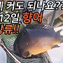 이렇게 커도 되나요?..