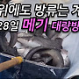 ▥▥ 무더위에도 방류..