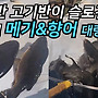 물반 고기반이 남창의..