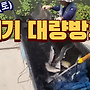 [실시간]딱좋은 날씨에..