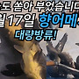 오늘도 쏟아 부었습니..
