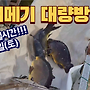 ▥▥ 오늘도 빅사이즈..