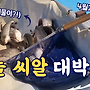 ▥▥ 오늘 씨알대박 ..