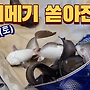 ▥▥ 향어메기가 쏟아..