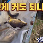 [실시간]이렇게 커도 ..