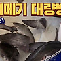 ▥▥ [실시간] 휴가철..
