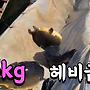 ▥▥ 5kg 헤비급 향돌..