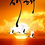 새해 복 많이 받으세요..