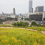 낙산공원(25.06.13.금)