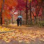 (+MR) 여수(旅愁)....