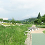 2026-05-28_산책 꽃..
