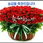 9월1일 ㅡ승급되신분 ..