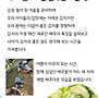배추로 건강한 겨울을..