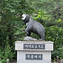2026년 04월 강원도 ..
