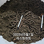 말지렁이팝니다.