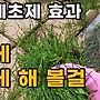 천연 제초제 만들기