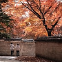만추의 창덕궁
