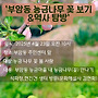 25년 부암동 능금나무..