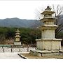 겨울을 보내면서 梅花..