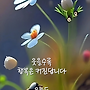 📣 얼굴에..