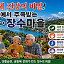 100세 건강의 비밀 건..